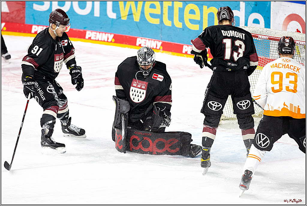 PENNY DEL;  Koelner Haie - Grizzlys Wolfsburg; Koeln, 29.01.2021